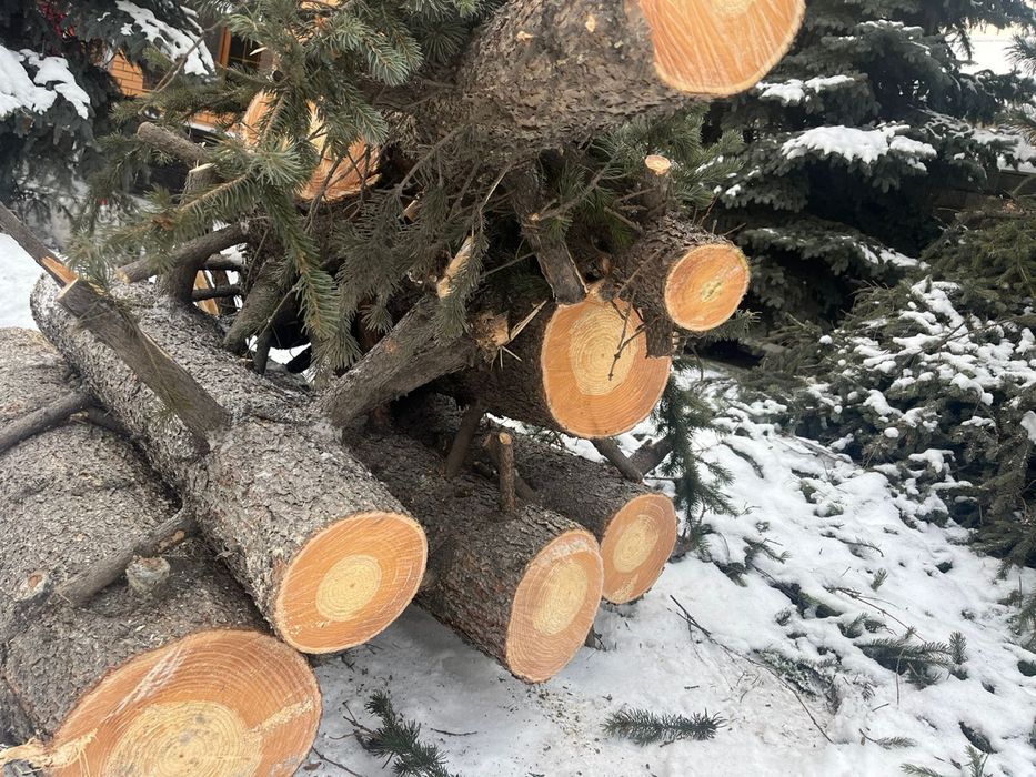 Продаем елку самовызов или яндекс