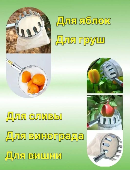 Фруктовый плодосборник