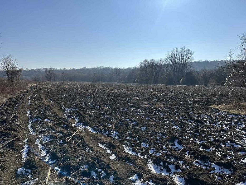 Продава се Парцел в София, Филиповци - 3847 кв.м за 10 €/кв.м - Снимка #2