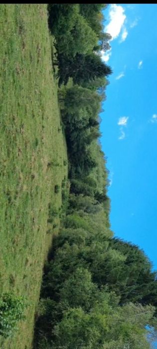 Vand teren intravilan Șimon Bran