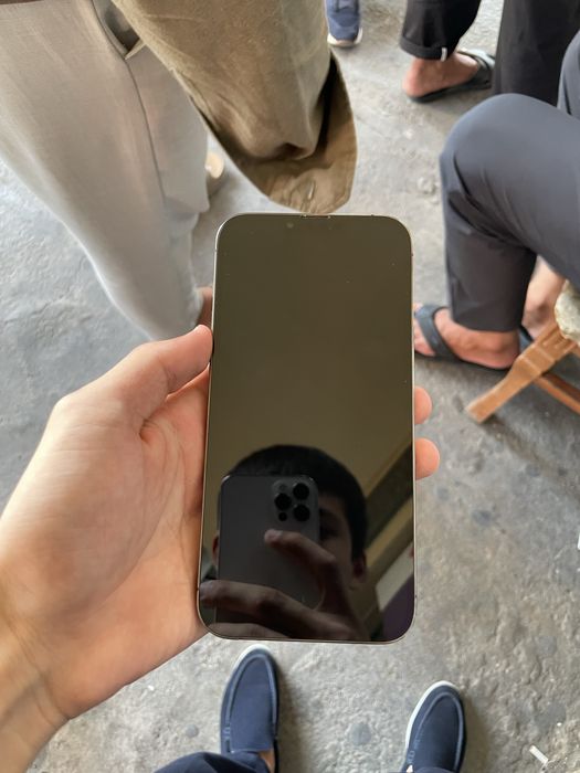 Iphone 13 pro max