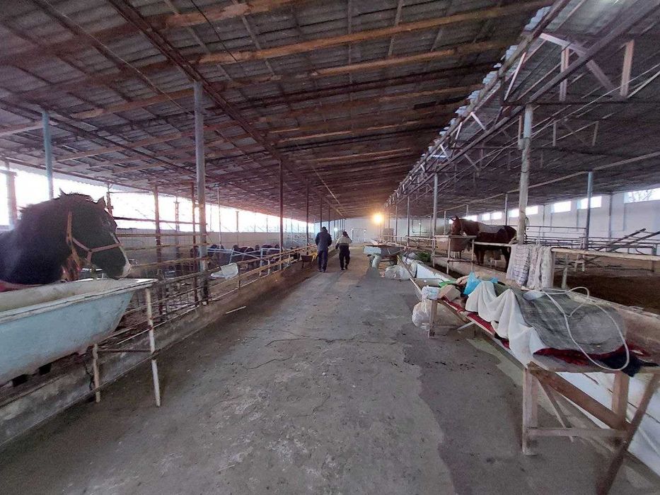 Недвижимость продажа