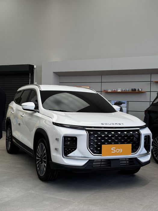 Soueast S09 Amber Brown 2.0 Turbo 2026