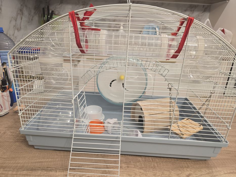 Клетка для хомяка (сирийского)