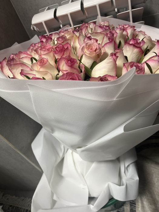 Продам розы 51 шт