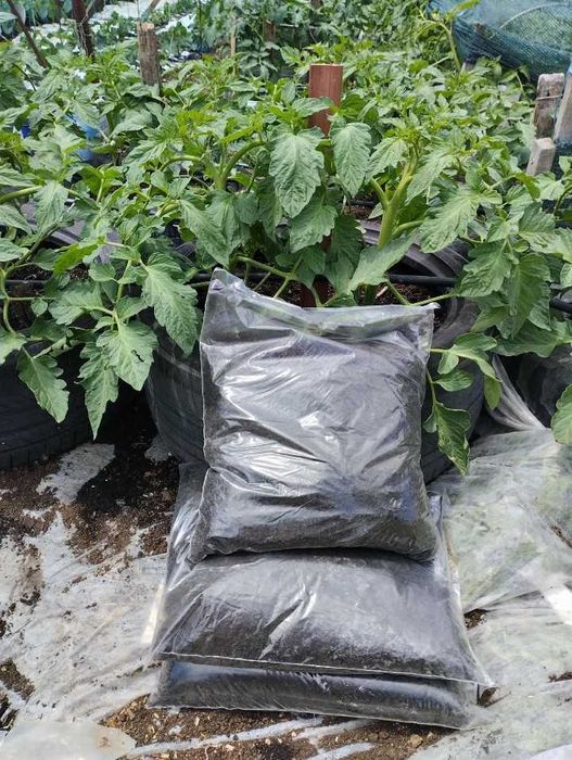 ДЕНДРОБЕН килограм - 30 Евро, кутия - 14 бройки - 1€