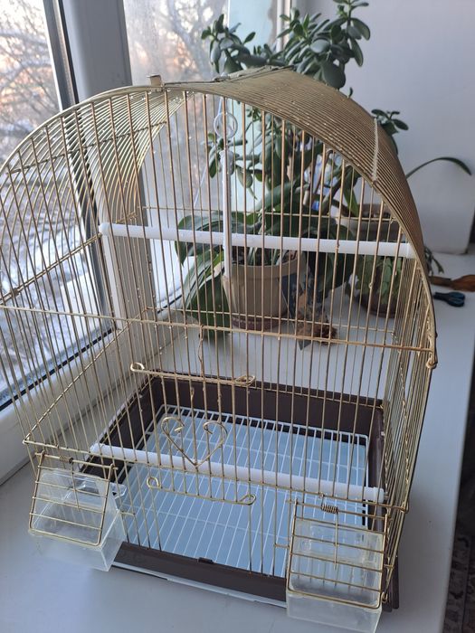 Клетка для попугаев