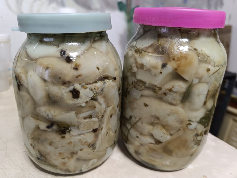 Продам грибы грузди
