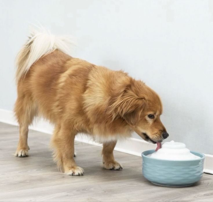 Fantana/adapatoare ceramica Trixie Falls NOUA