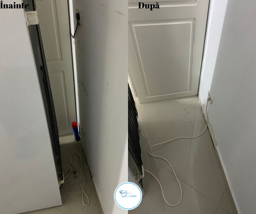 Curatenie  generală/după constructor sau de întreținere