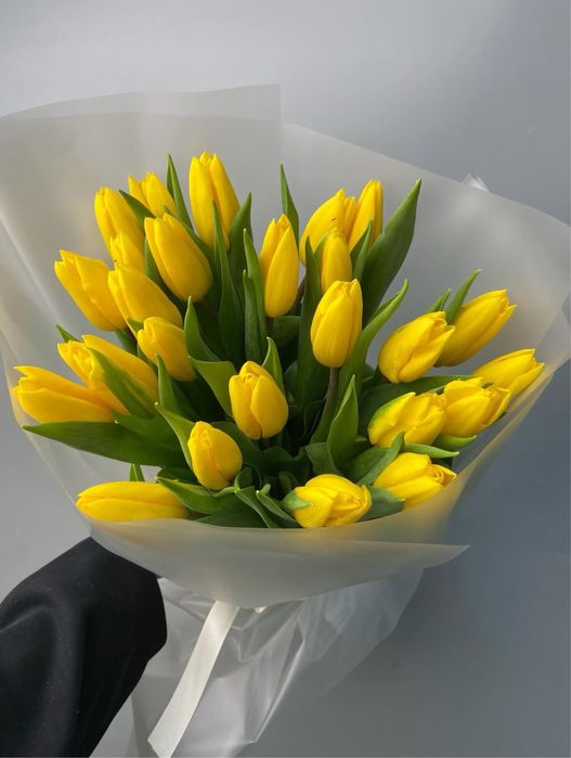 Тюльпаны местные