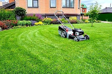 Tăieri pomi fructiferi, amenajare și întreținere spații verzi