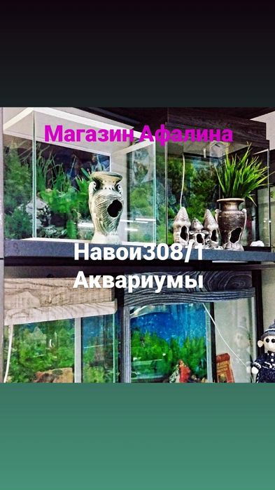 Аквариумная рыбка в Афалине