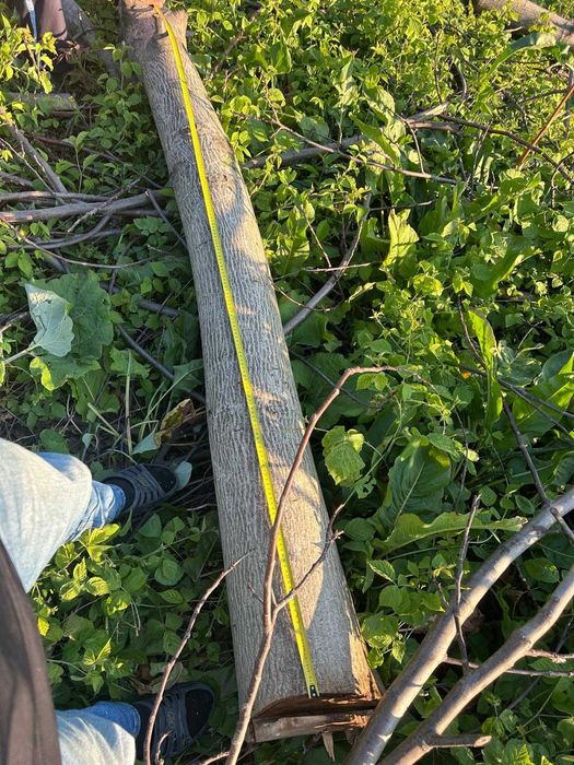 Vând 10 butuci lemn de buc de diferite dimensiuni