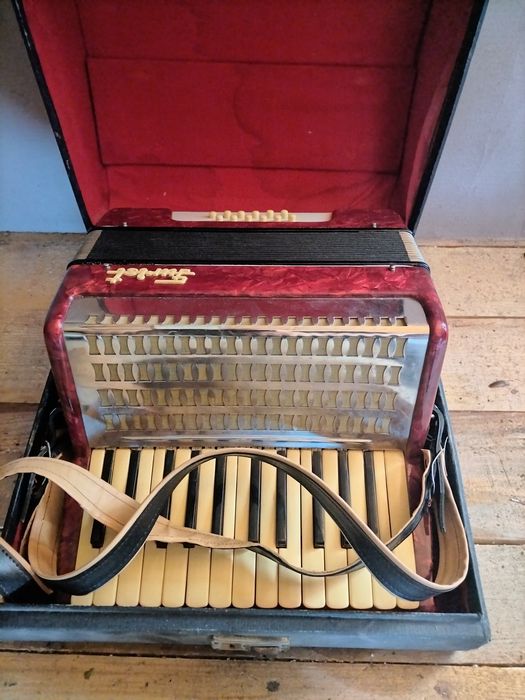 Acordeon clasic pt copii