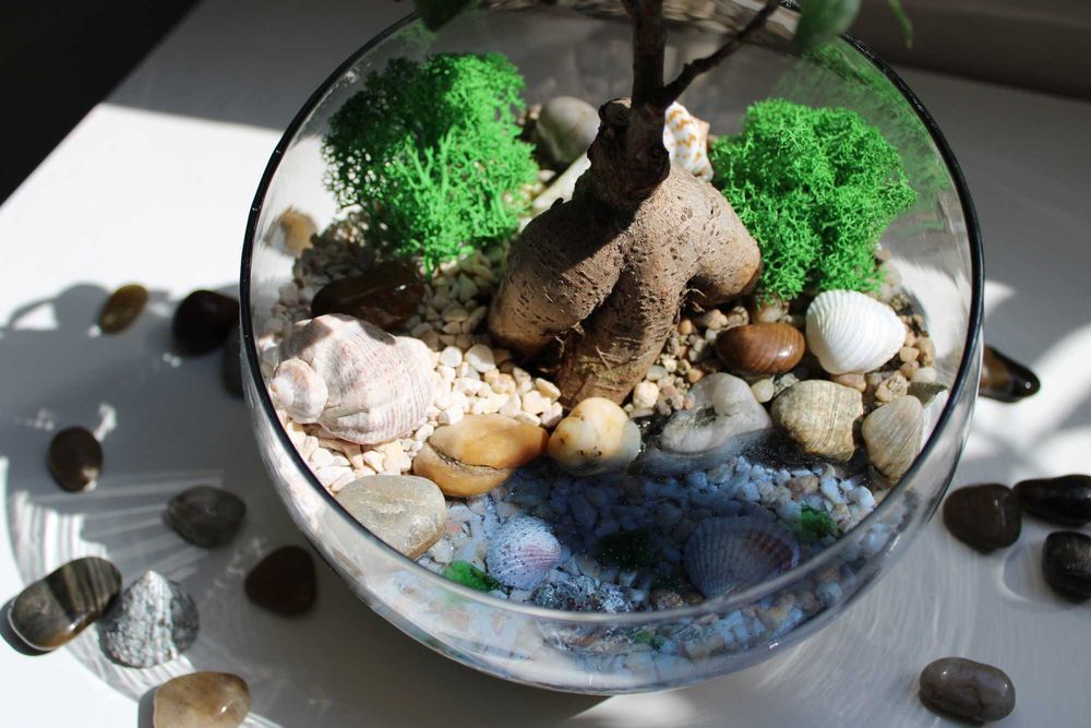 Флорариум с бонсай - подарък за рожден ден и др поводи