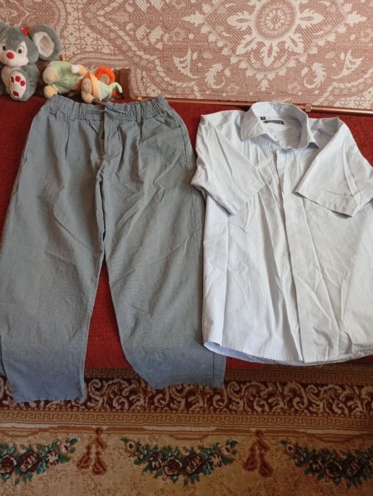 Рубашка с коротким рукавом и брыджи