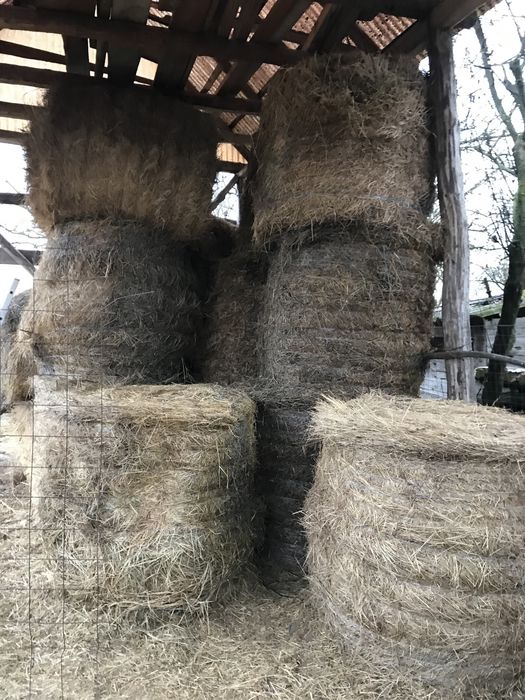 Baloti de lucerna si fân