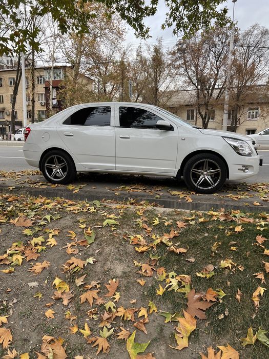 Cobalt style 4 pozitsiya