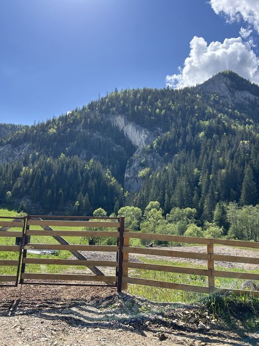 Teren intravilan Trei Fantani