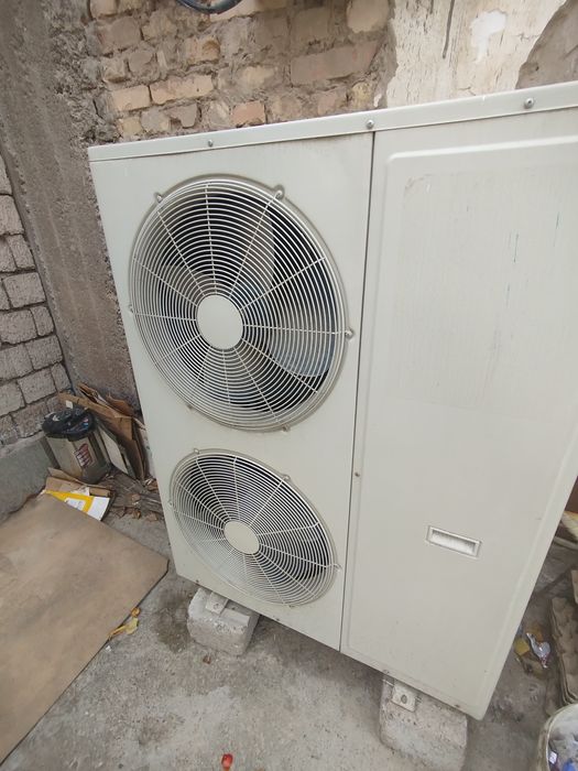 Kandisaner 60 tali sotiladi