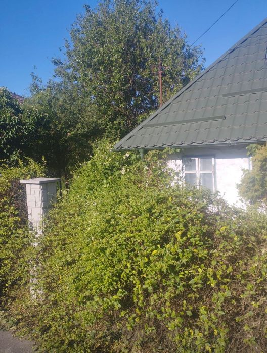 Vând casă+sura+teren 86 ari intravilan in Buciumi