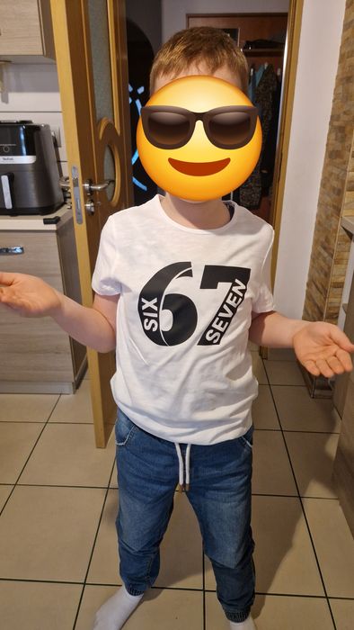 Tricou la comanda cu 67 steal a brainrot