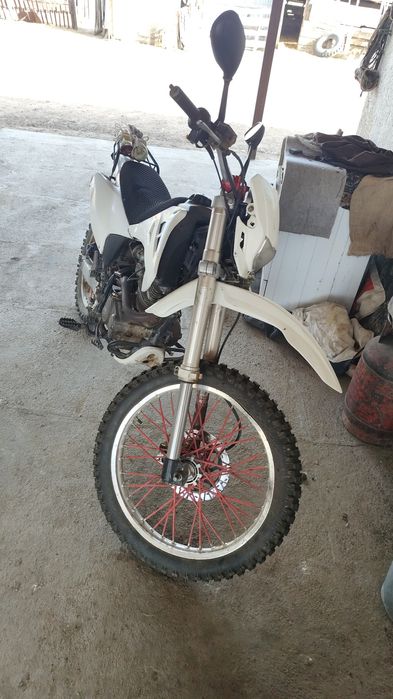 Продажа  Лошадей Жылкы