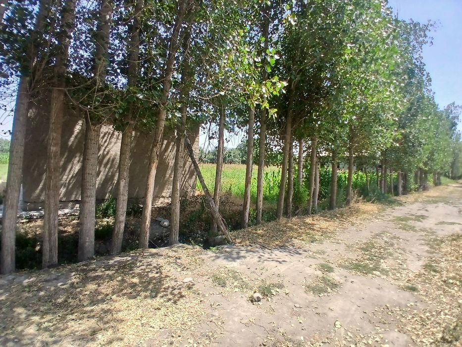 Yer sotiladi  srochniy