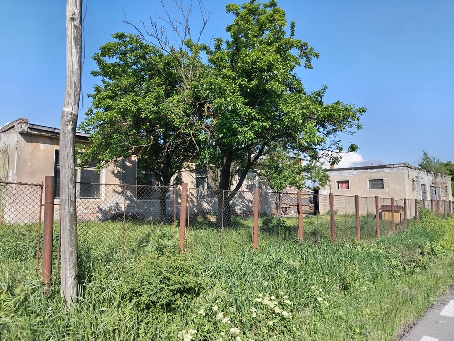 Vand  hala 300m2  și teren aferent 7000 m