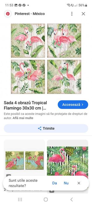 Set de 4 tablouri canvas cu flamingo