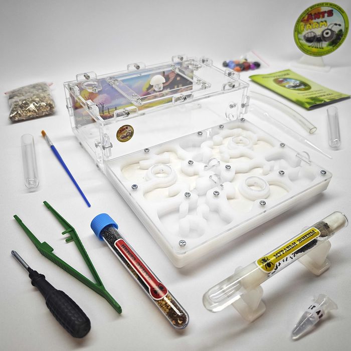 Муравьиная ферма - Муравьи жнецы ||| ГИПСОВЫЙ Формикарий "ADVANCED"