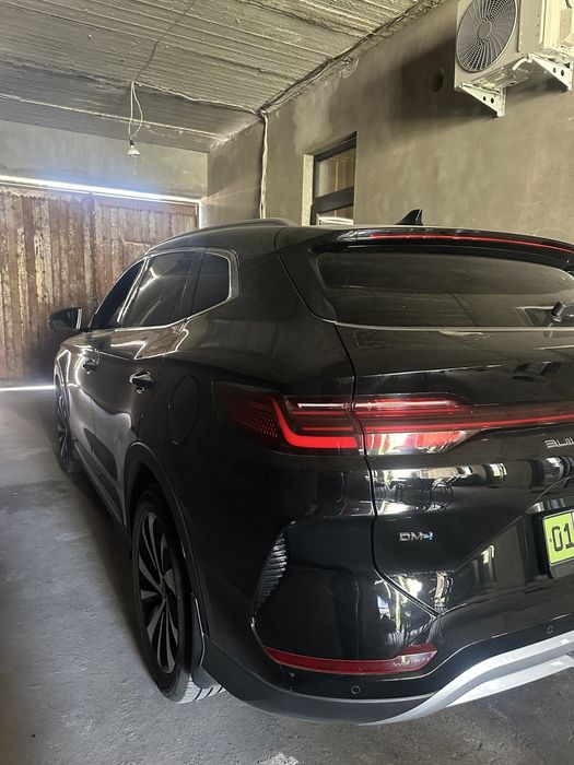 byd chenpion 2024 yil