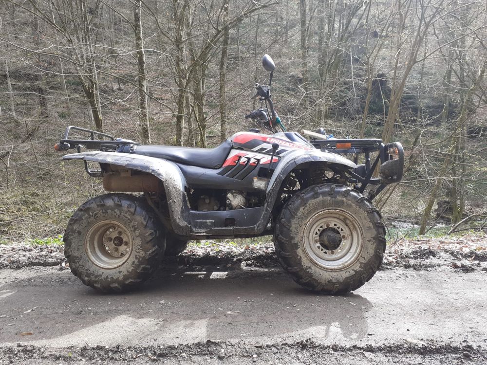 Atv. linhai 300 Arad • OLX.ro