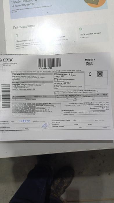 Продам один сажанец фундука