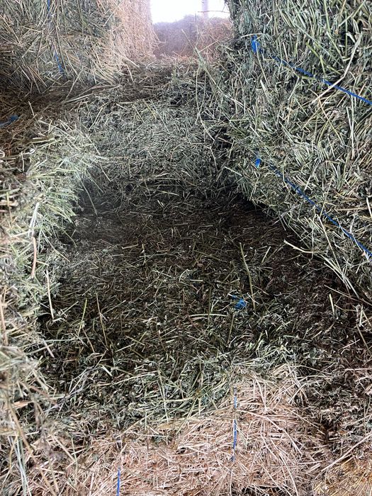 Vând baloti lucerna de calitate