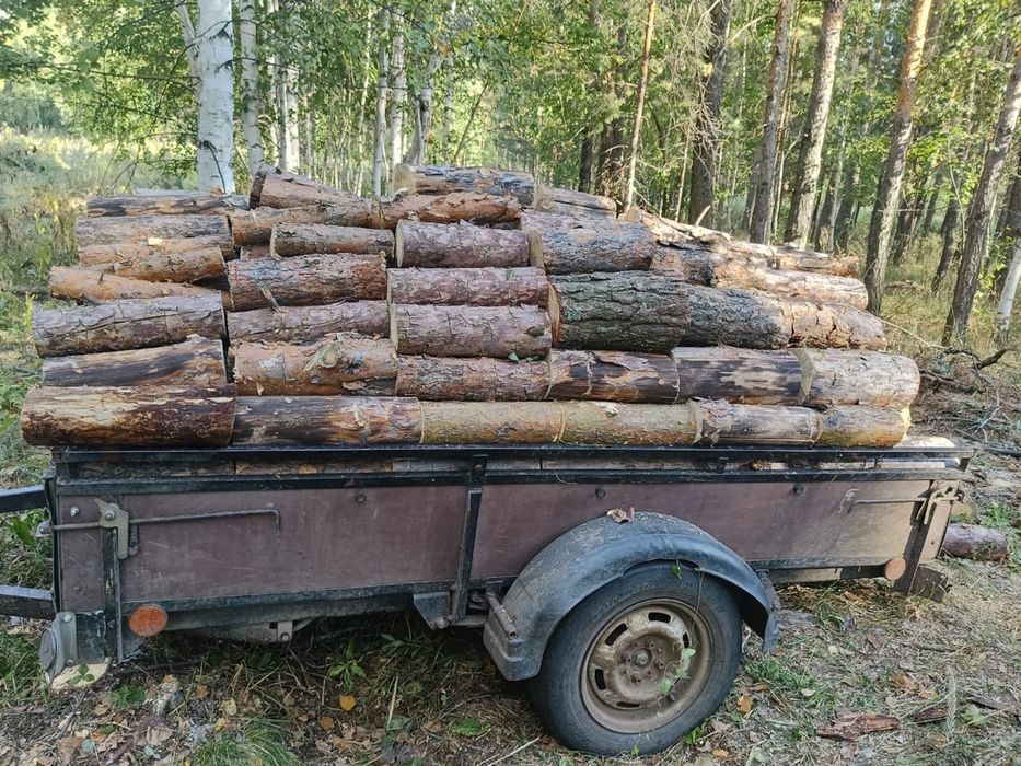 Продам дрова сухие сосна