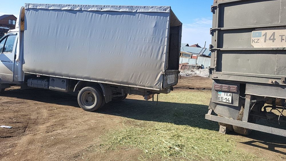 Сено, шоп. Жонышка , люцнрна