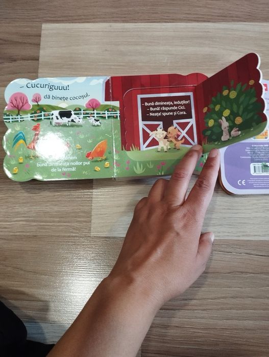 Lot format din 5 cărticele pentru copii