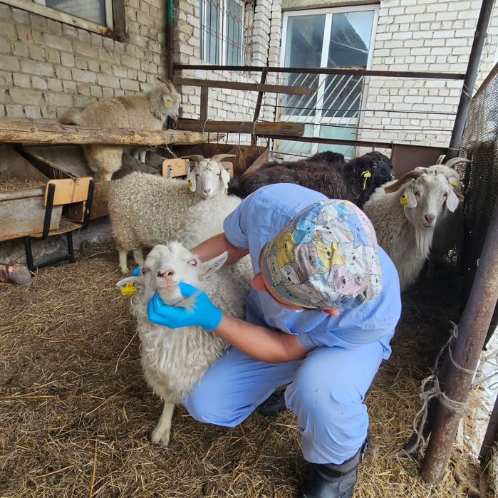 Ветеринарный Врач г.Семей