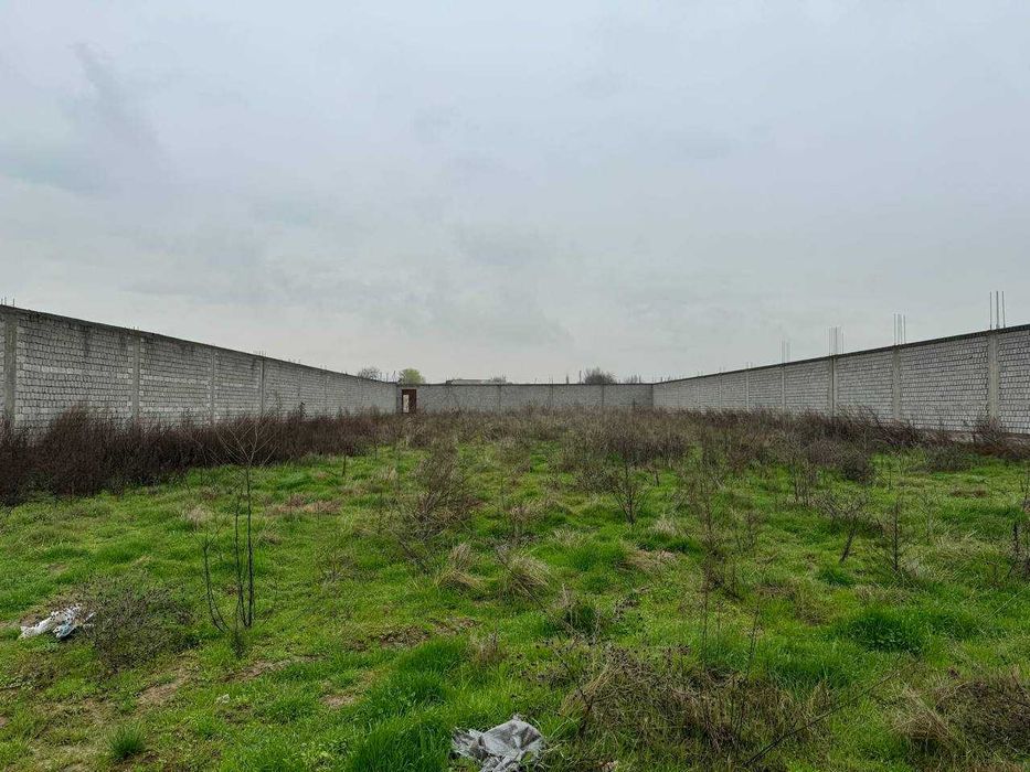 Ер сотиалди Зангиота Боз Сув 29 сотих, яхши локация