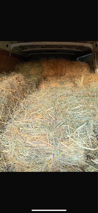 Vând baloți de lucernă 20 de lei bucata