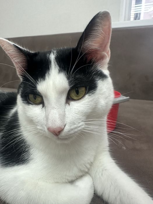 Забери меня с собой, я хороший