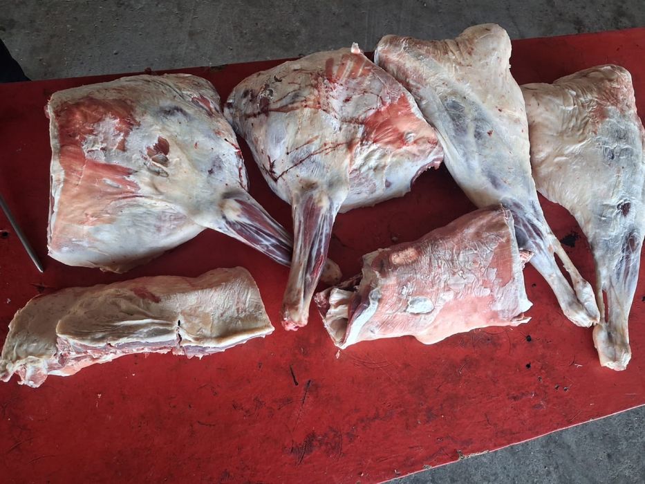 Продаю баранов на выбор