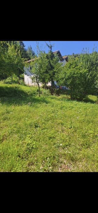 Дворно място в с. Ново Бърдо