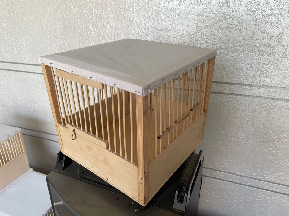 Bedanaga qafaslar sotiladi