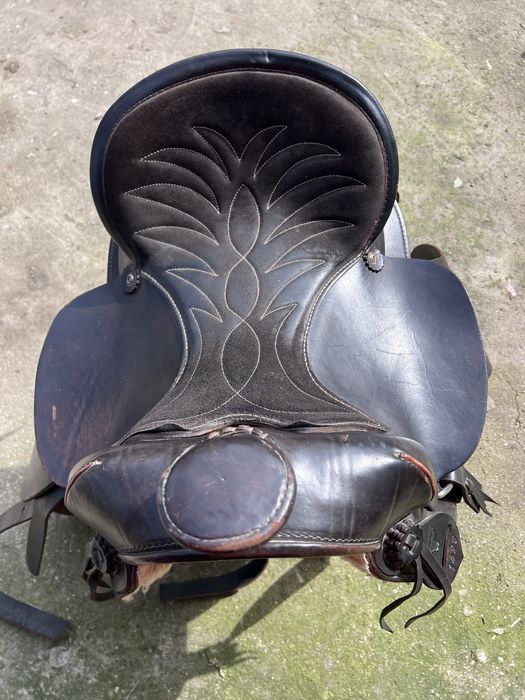 Sa exceptionala pentru cal