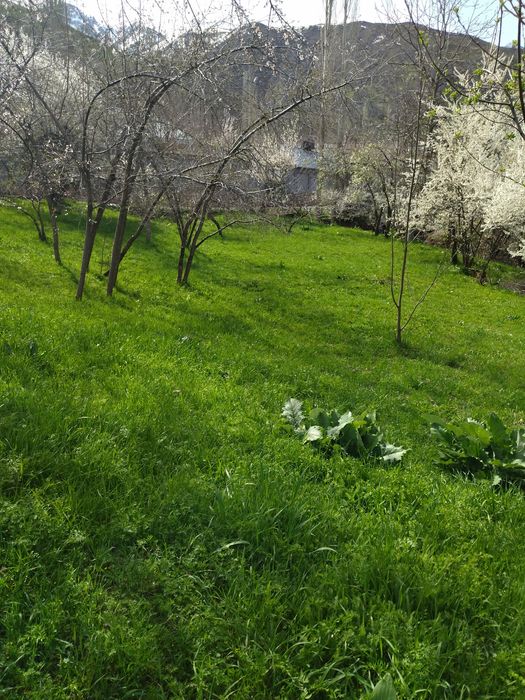 Yer bor srochka sotiladi