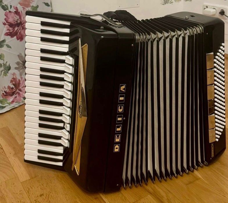 Acordeon 2+2 casoto