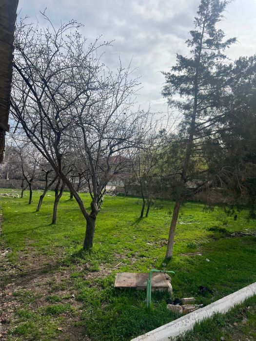 Srochna oqtoshda yer sotiladi